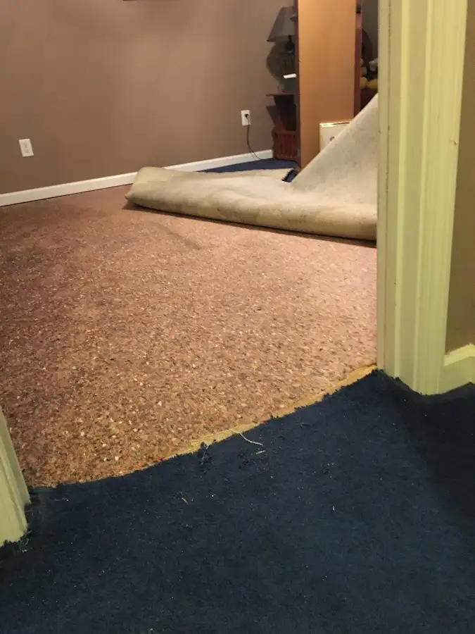 Carpet pad removal revealing water damage during Drying & Dehumidification in Canal Fulton